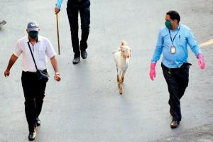 Mumbai Diary: Wednesday Dossier