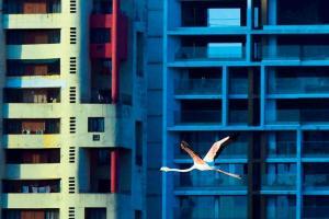 Mumbai Diary: Tuesday Dossier