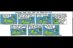 Green Humour: Comic Strip By Rohan Chakravarty