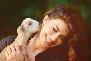 Jacqueline finds a friend in Jenny the goat at Salman Khan's farmhouse