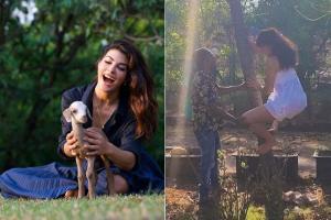 Creates a movie, climbs a tree, rides a horse: Jacqueline's farm life