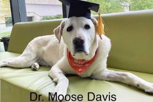 Praises are pouring for this pooch for getting an honorary doctorate