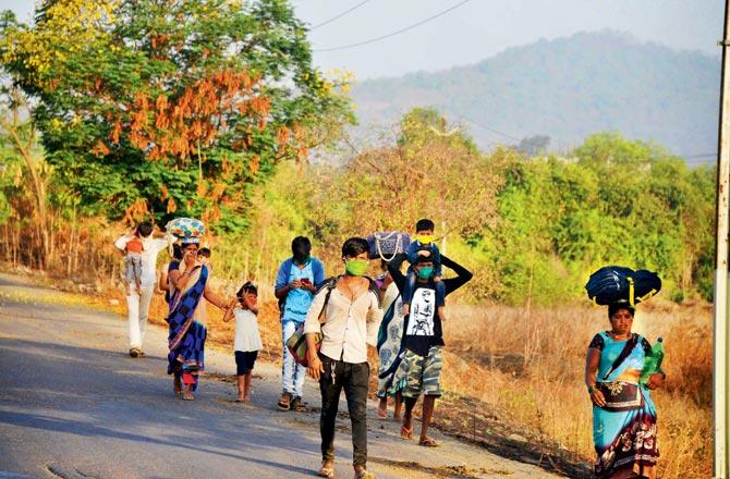 Migrants spend all night walking and the sweltering days under the shade of trees lining the highways on their way to their hometowns. Pics/Hanif Patel