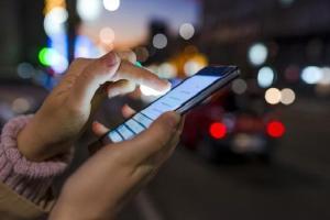 Two students held for posting porn clips during online classes