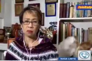 Coronavirus: Reporter tries to keep calm as cats fight behind her