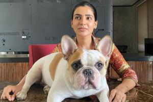 Samantha Akkineni and her pet dog cannot be beaten in this job!