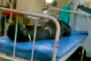 Sion hospital viral video: Probe doesn't blame anyone