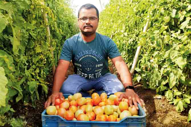  Ajit Korde, a farmer from Satara, said he had to throw away nearly 25 tonnes of his diseased produc