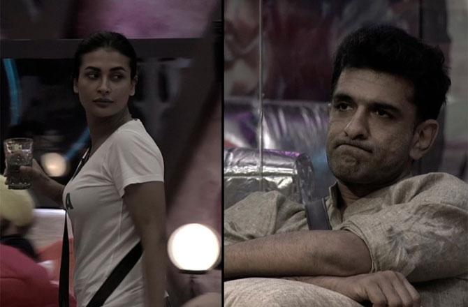 While what once seemed like affection has now transformed into hate between Eijaz and Pavitra, the emotion of love between Jasmin Bhasin and Aly Goni set to give the game a new twist.