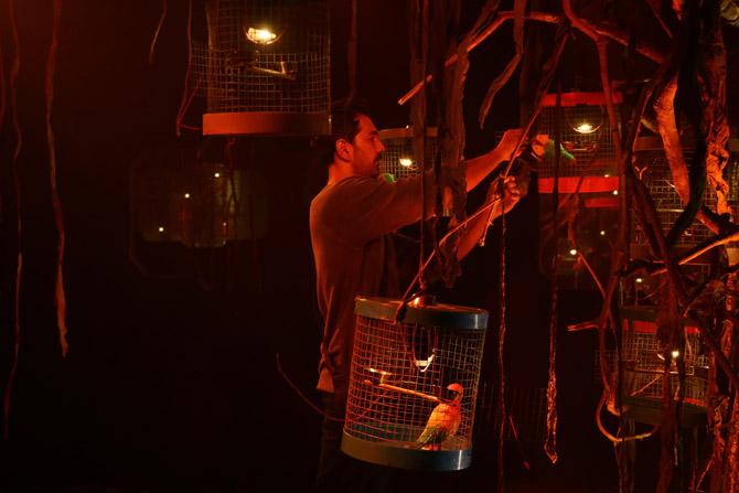 Tuesday began with another bang (or should we say shock) for the contestants - The nomination task. The process is known to create fearsome rifts between the housemates as each one is busy planning and plotting to nominate the contestant they want out! This time too, it was no different. Bigg Boss gave a toy parrot attributed to each housemate and they had to further decide whose parrot they wanted to lock in a cage and nominate them.