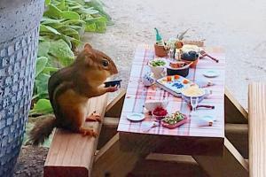 For a 'quick' bite