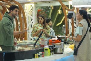 BB14 Day 46: Kavita Kaushik and Aly Goni lock horns over house rules