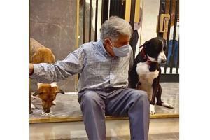 Ratan Tata reveals why he named his office dog 'Goa'