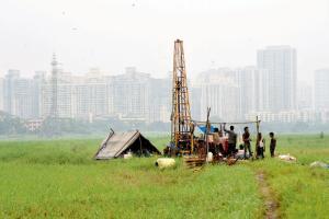 'Plot is to destroy Aarey, but we will not allow it'