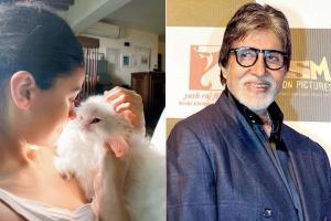 Purr with delight! Alia Bhatt's 'muse' is too cute to be true