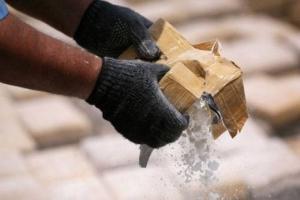 Drugs worth over Rs 16 crore seized in Assam, Mizoram