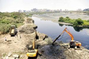 Mumbai: BMC to spend Rs 466 crore more to clean up Mithi river
