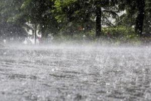 NCMC takes stock of preparedness for cyclone Nivar