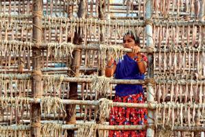 Mumbai Diary: Monday Dossier