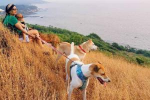 Mumbai: Interracial couple travelling across country with 3 dogs & baby