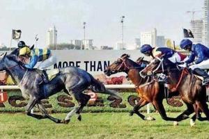 Horse racing: Questina tipped for DRC Cup