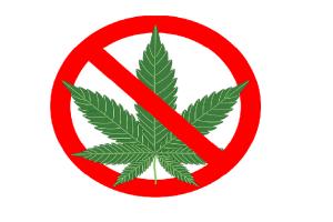 Maha crime:3 held for trying to throw marijuana filled ball inside jail