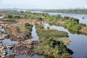 Mumbai: Work on six bridges stalled over pending green clearance