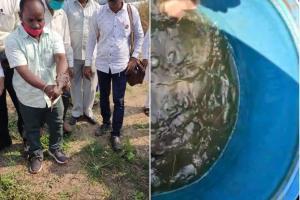 Thane: 126 illegal ponds breeding banned Magur fish found in Bhiwandi