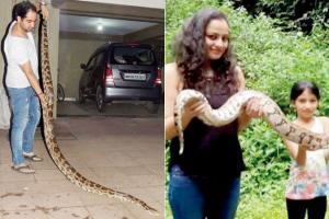 Mumbai: This family in Borivli loves snakes