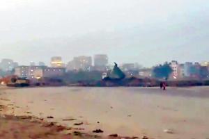 Mumbai: 'How can road be laid on beach for sea link?'