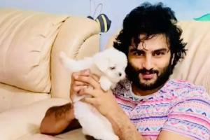 See Photo: Sudheer Babu welcomes a 'Pawsome member' into his family