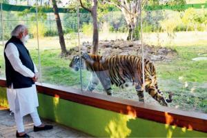Rani-like treatment