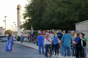 US expected to witness highest voter turnout in century: Report