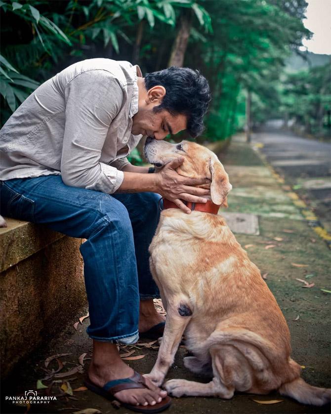 In picture: Eijaz Khan lost two of his pets this year. He found solace by being a foster parent to abandoned dogs during the lockdown. He posted this picture on Instagram and captioned it: 