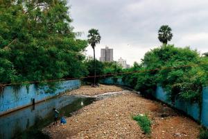 Mumbai: 'Manmade disaster unfolding in Aarey', says environmentalist