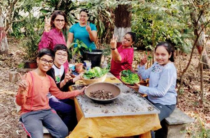 Residents of Bandra have been nurturing an organic farm inside a park. Pic/Dream grove bandra