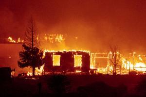 Earth turning into uninhabitable hell: UN's World Meteorological Agency