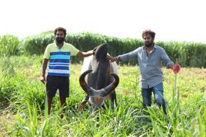 Bengaluru-Based Agro-Realty Firm Is Doing Business The Organic Way