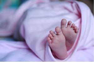 2-day-old baby girl stabbed multiple times, body dumped
