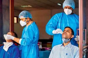 COVID-19: India's cumulative positivity rate stands at 8.19 per cent