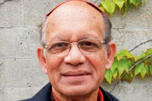 Archbishop of Bombay on Pope's remarks: Not a call for gay marriages