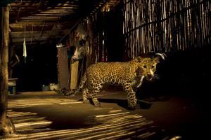 Mumbai lensman earns another accolade in wildlife 'Oscar'