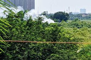 Mumbai: Mangroves burning rampant in Charkop, says nature lover