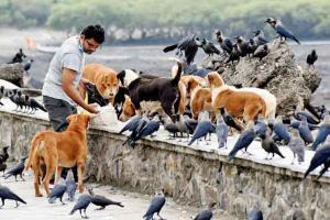 Mumbai Diary: Friday Dossier
