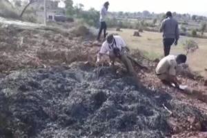 Temple priest set ablaze by 6 men in Rajasthan, one held