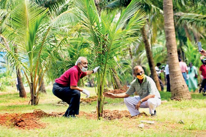 No amount of green cover is enough, tree planters said at the event. PIC/BIPIN KOKATE