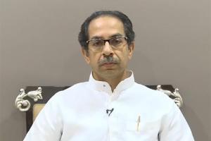 Rights aren't absolute: Bombay HC on abusive tweets against Uddhav