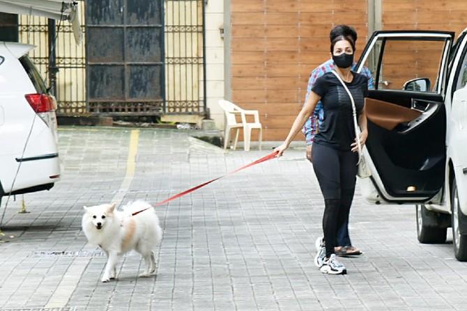 Malaika Arora has one of the fittest bodies in B-town. Her outfit always grabs a lot of attention during her outing. Courtesy - her fit bod, of course, and her dress sense! Who would say the diva is 46-years- old? (All pictures: Yogen Shah).