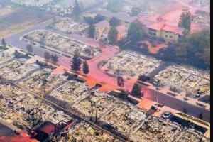 'You have protests, COVID pandemic, and now the wildfires. What next?'