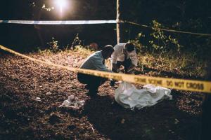 Man kills wife, tells police she was bitten by 'venomous creature'